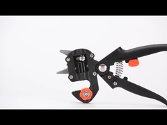 Transplantando tesouras